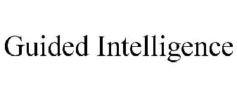 GUIDED INTELLIGENCE