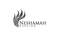 NESHAMAH HEALING