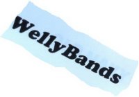 WELLYBANDS