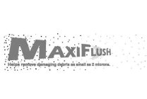 MAXIFLUSH HELPS REMOVE DAMAGING DEBRIS AS SMALL AS 2 MICRONS