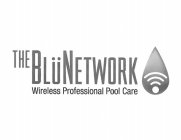 THE BLU NETWORK WIRELESS PROFESSIONAL POOL CARE