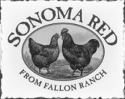 SONOMA RED FROM FALLON RANCH