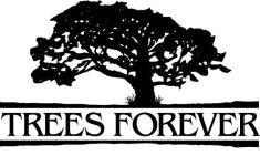 TREES FOREVER