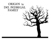 ORIGEN BY DEL PEDREGAL FAMILY