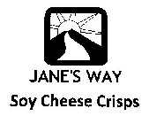 JANE'S WAY SOY CHEESE CRISPS