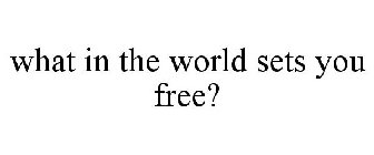 WHAT IN THE WORLD SETS YOU FREE?