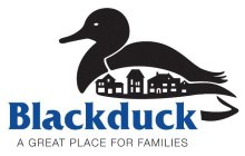 BLACKDUCK A GREAT PLACE FOR FAMILIES