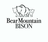 BEAR MOUNTAIN BISON