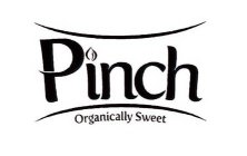 PINCH ORGANICALLY SWEET