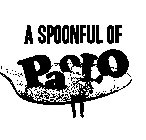 A SPOONFUL OF PAOLO