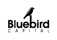 BLUEBIRD CAPITAL