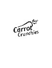 CARROT CRUNCHIES