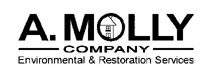 A. MOLLY COMPANY ENVIRONMENTAL & RESTORATION SERVICES