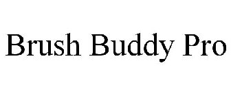 BRUSH BUDDY PRO