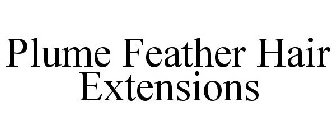 PLUME FEATHER HAIR EXTENSIONS