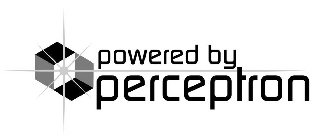 POWERED BY PERCEPTRON