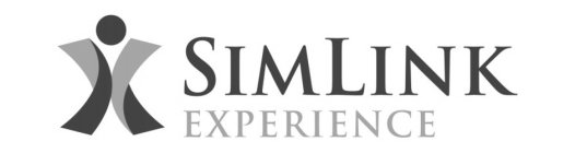 SIMLINK EXPERIENCE