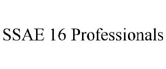 SSAE 16 PROFESSIONALS