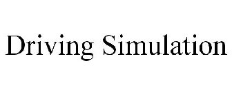 DRIVING SIMULATION
