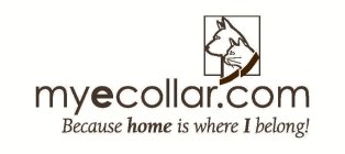 MYECOLLAR.COM BECAUSE HOME IS WHERE I BELONG