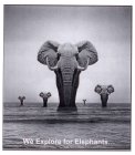 WE EXPLORE FOR ELEPHANTS...