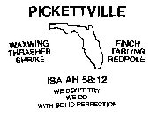 PICKETTVILLE ISAIAH 58:12 WE DONT TRY WE DO WITH SOLID PERFECTION WAXWING THRASHER SHRIKE FINCH TARLING REDPOLE