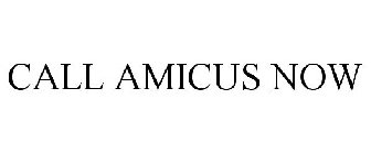 CALL AMICUS NOW