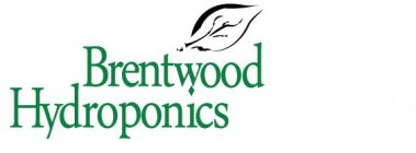 BRENTWOOD HYDROPONICS