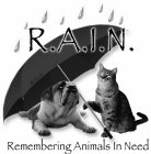 R.A.I.N. REMEMBERING ANIMALS IN NEED