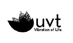 UVT VIBRATION OF LIFE