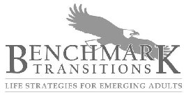 BENCHMARK TRANSITIONS LIFE STRATEGIES FOR EMERGING ADULTS