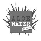 ALOE WATER ALL NATURAL