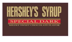 HERSHEY'S SYRUP SPECIAL DARK MILDLY SWEET CHOCOLATE FLAVOR