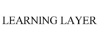 LEARNING LAYER