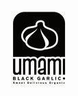 UMAMI BLACK GARLIC SWEET DELICIOUS ORGANIC