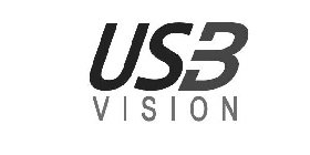 USB VISION