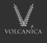 VOLCANICA