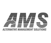 AMS ALTERNATIVE MANAGEMENT SOLUTIONS