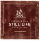 THE AMERICAN STILL LIFE COLLECTION