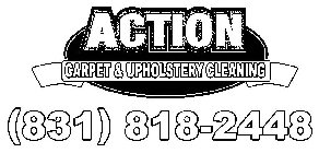 ACTION CARPET & UPHOLSTERY CLEANING