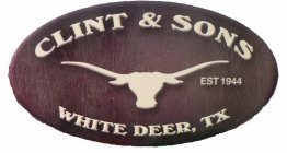 CLINT & SONS EST 1944 WHITE DEER, TX