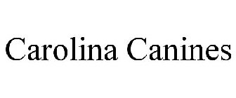 CAROLINA CANINES