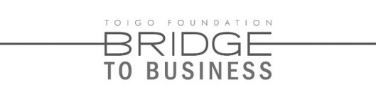 TOIGO FOUNDATION BRIDGE TO BUSINESS