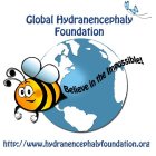 GLOBAL HYDRANENCEPHALY FOUNDATION BELIEVE IN THE IMPOSSIBLE! HTTP://WWW.HYDRANENCEPHALYFOUNDATION.ORG