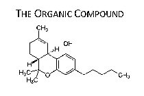 THE ORGANIC COMPOUND CH3 OH H H H3C H3C O CH3