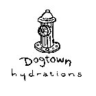 DOGTOWN HYDRATIONS
