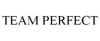 TEAM PERFECT