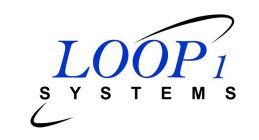 LOOP 1 SYSTEMS