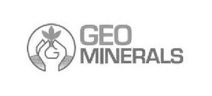 G GEO MINERALS