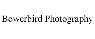 BOWERBIRD PHOTOGRAPHY